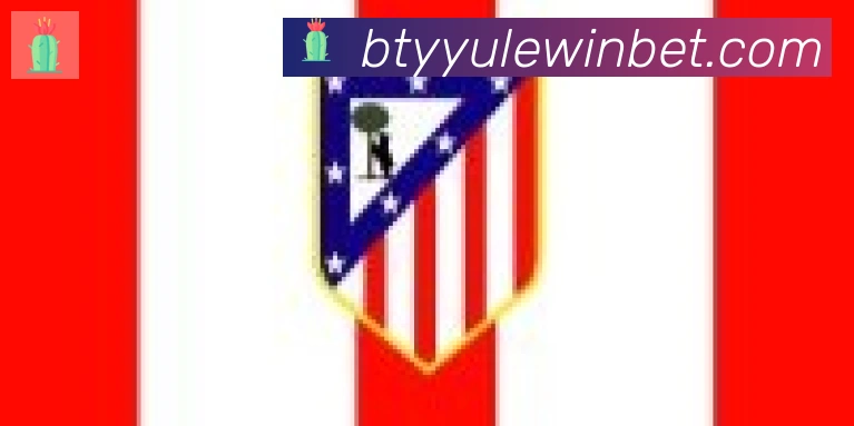 B体育官网合作伙伴
